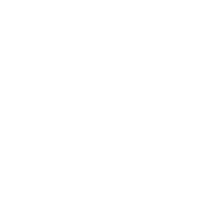 Trip Advisor Traveler's Choice Logo