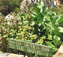 Take a Day Trip to Devil's Bay, in Virgin Gorda