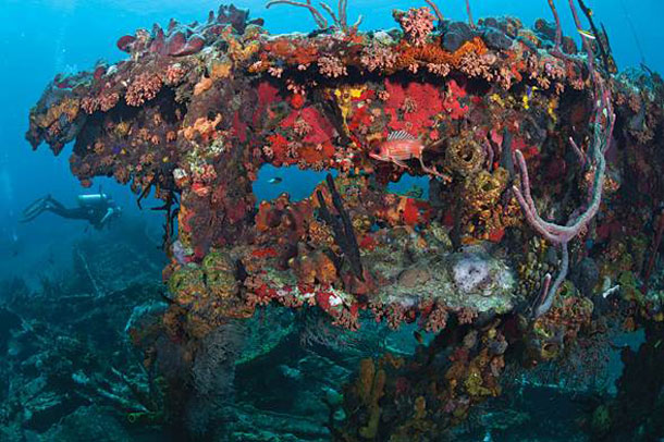 Explore the Underwater Attractions of the BVI: Dive the R.M.S. Rhone