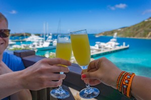 Morning Mimosa