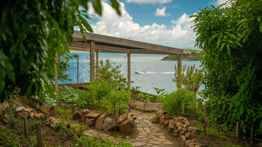 garden overlooking ocean