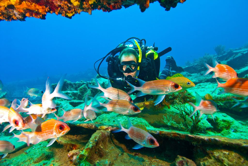 A person in scuba gear underwater with fish
